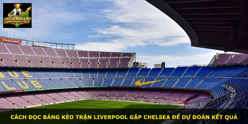 Cách đọc bảng kèo trận Liverpool gặp Chelsea để dự đoán kết quả