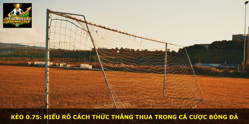 Kèo 0.75: hiểu rõ cách thức thắng thua trong cá cược bóng đá