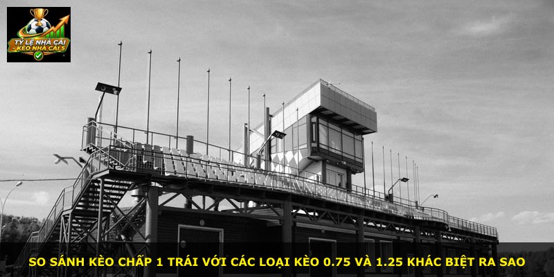 So sánh kèo chấp 1 trái với các loại kèo 0.75 và 1.25 khác biệt ra sao