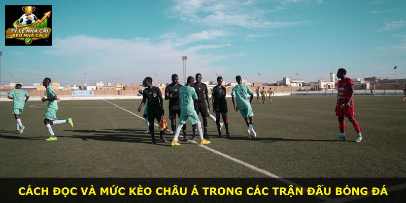 Cách đọc và mức kèo Châu Á trong các trận đấu bóng đá