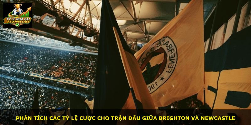 Phân tích các tỷ lệ cược cho trận đấu giữa Brighton và Newcastle