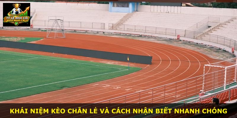 Khái niệm kèo chẵn lẻ và cách nhận biết nhanh chóng