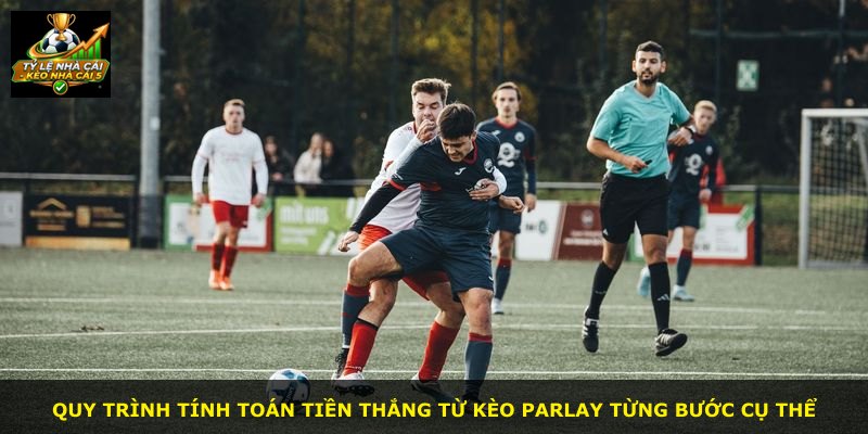 Quy trình tính toán tiền thắng từ kèo Parlay từng bước cụ thể