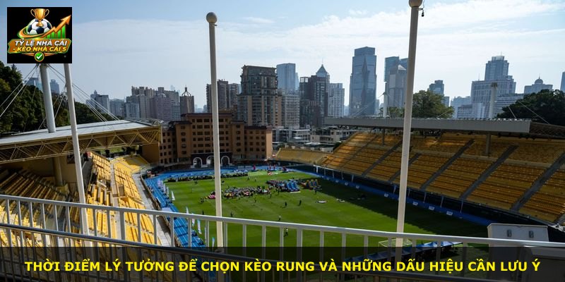 Thời điểm lý tưởng để chọn Kèo Rung và những dấu hiệu cần lưu ý