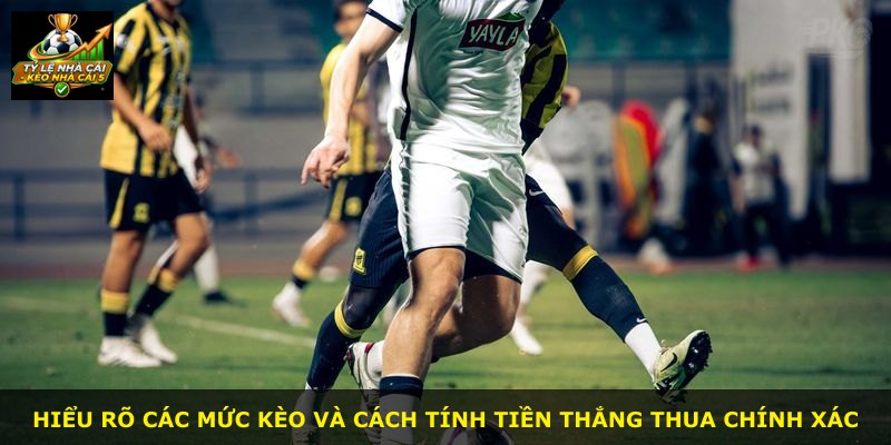 Hiểu rõ các mức kèo và cách tính tiền thắng thua chính xác