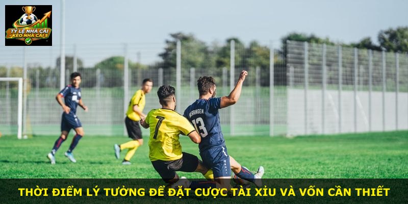 Thời điểm lý tưởng để đặt cược Tài Xỉu và vốn cần thiết