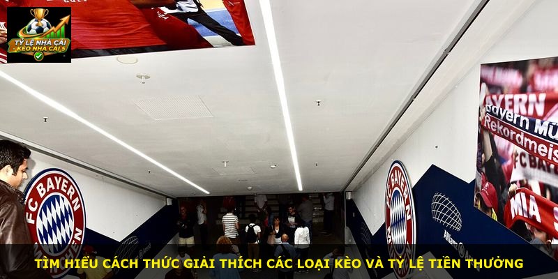 Tìm hiểu cách thức giải thích các loại kèo và tỷ lệ tiền thưởng