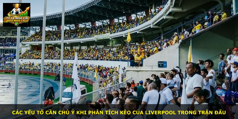 Các yếu tố cần chú ý khi phân tích kèo của Liverpool trong trận đấu