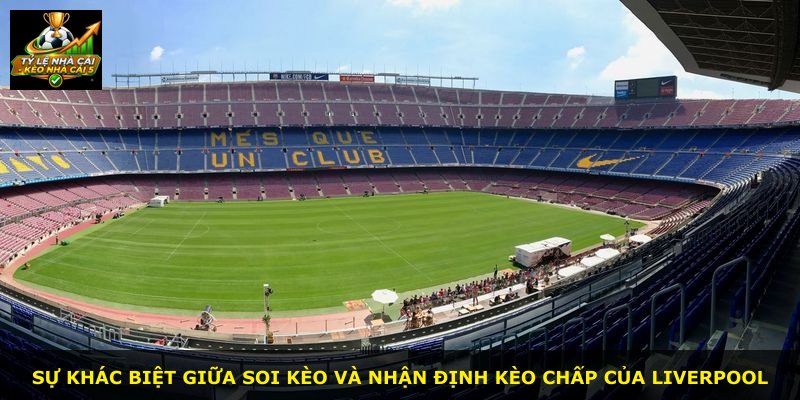 Sự khác biệt giữa soi kèo và nhận định kèo chấp của Liverpool