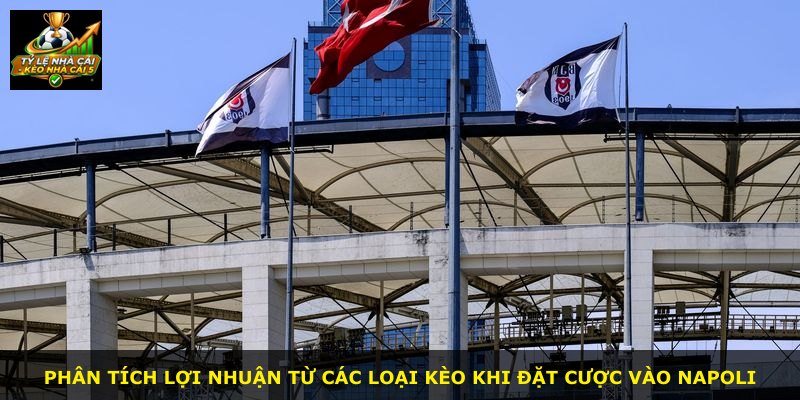 Phân tích lợi nhuận từ các loại kèo khi đặt cược vào Napoli