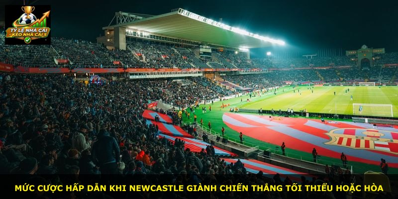 Mức cược hấp dẫn khi Newcastle giành chiến thắng tối thiểu hoặc hòa