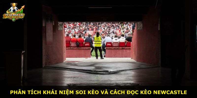 Phân tích khái niệm soi kèo và cách đọc kèo Newcastle