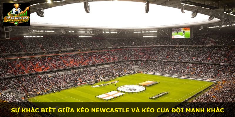 Sự khác biệt giữa kèo Newcastle và kèo của đội mạnh khác