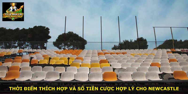 Thời điểm thích hợp và số tiền cược hợp lý cho Newcastle